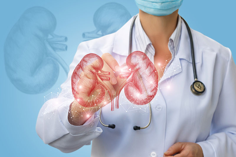 clinical-prognosis-early-detection-in-kidney-diseases